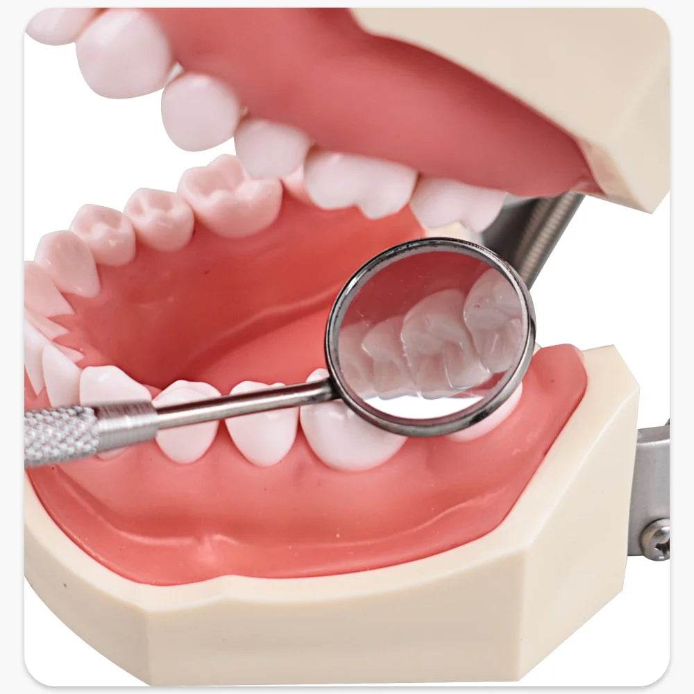 CYW469 Dental Stainless Steel Mouth Mirror - Denspay Dental - Dental Mouth Mirror