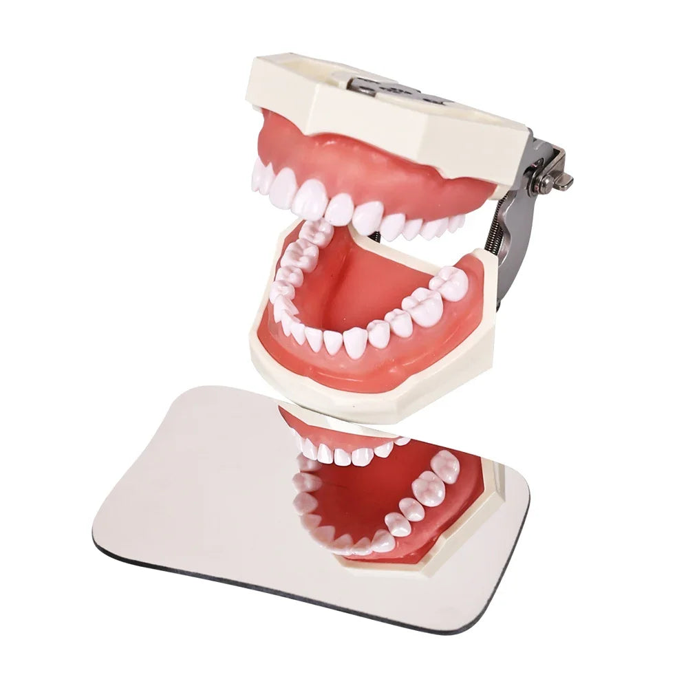 CYW777 Dental Double Sided Mirrors - Denspay Dental - Dental Mouth Mirror