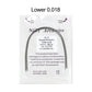 CYZ009 Dental Niti Archwires