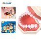 CYW707 Dental Disposable Wooden Wedges Tooth Gap  Fixing Maple Wooden Wedges For Matrix System Dental Materials