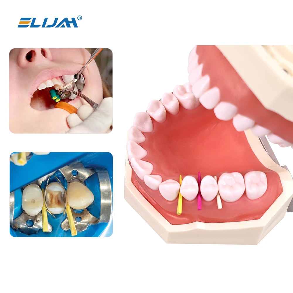 CYW707 Dental Disposable Wooden Wedges Tooth Gap  Fixing Maple Wooden Wedges For Matrix System Dental Materials
