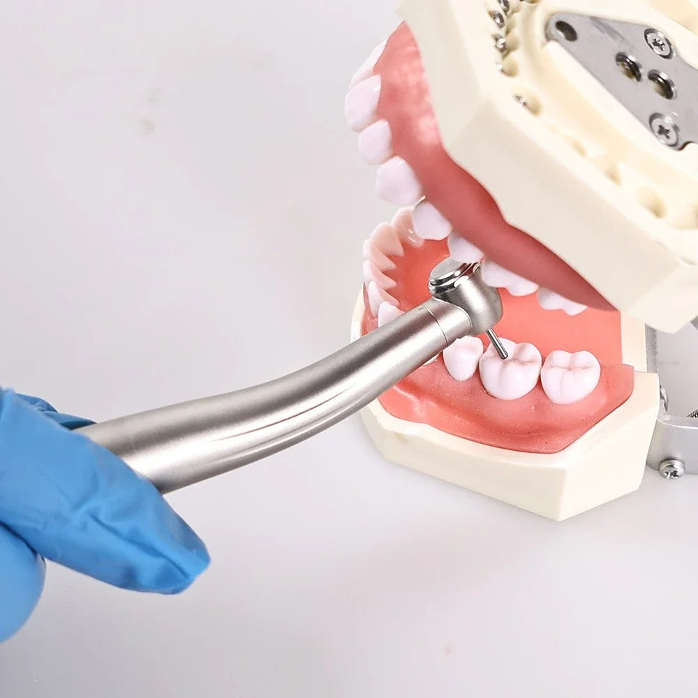 Dental High Speed Handpiece X600L/X700L Fiber Optic  Air Turbine 6 Holes Quick Coupler Ceramic Bearing Hnadpiece Dentistry Tools