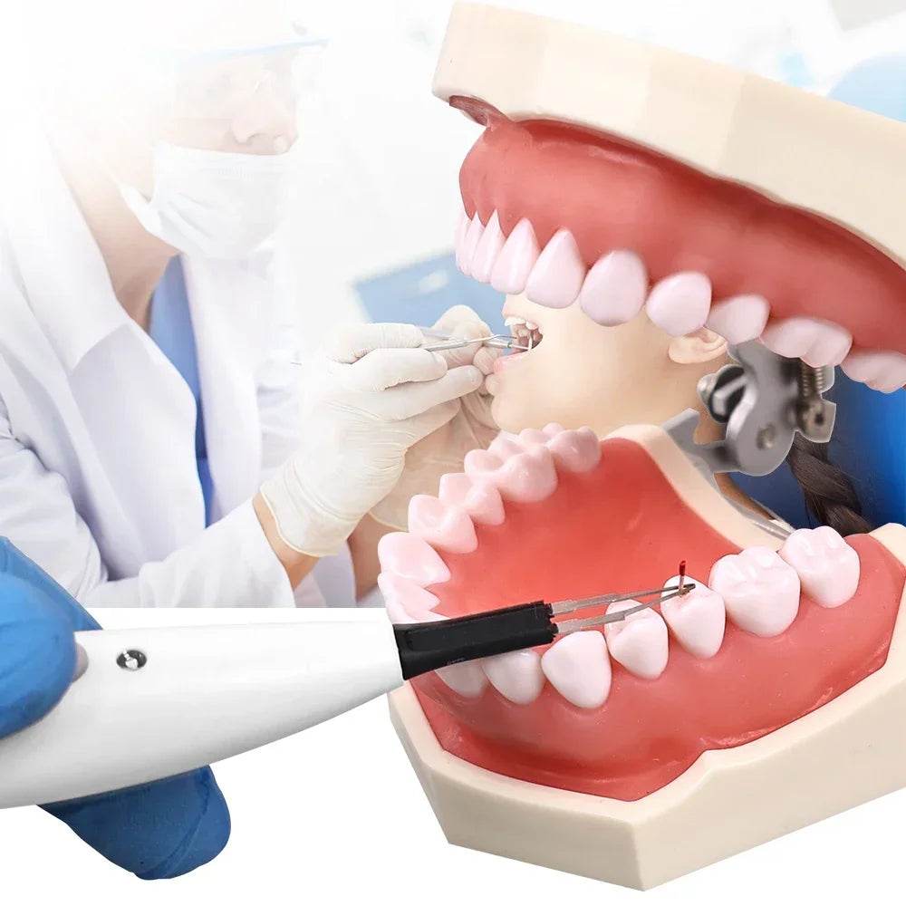 CYE021 Dental Gutta Percha Tip Cutter - Denspay Dental - Obturation System