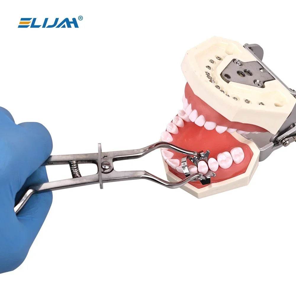 CYW719 Dental Rubber Dam Perfurator Puncher Set - Denspay Dental - Orthodontic Instrument Kits