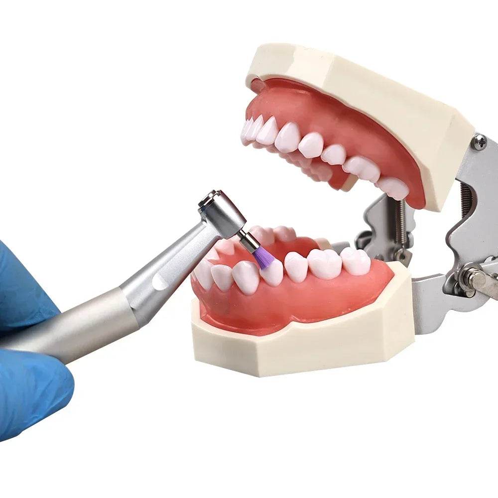 CYF240 Dental Polishing Brushes - Denspay Dental - Universal Polishers & Abrasives