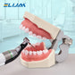 CYF225 Dental Heat-Activated Root Canal Files