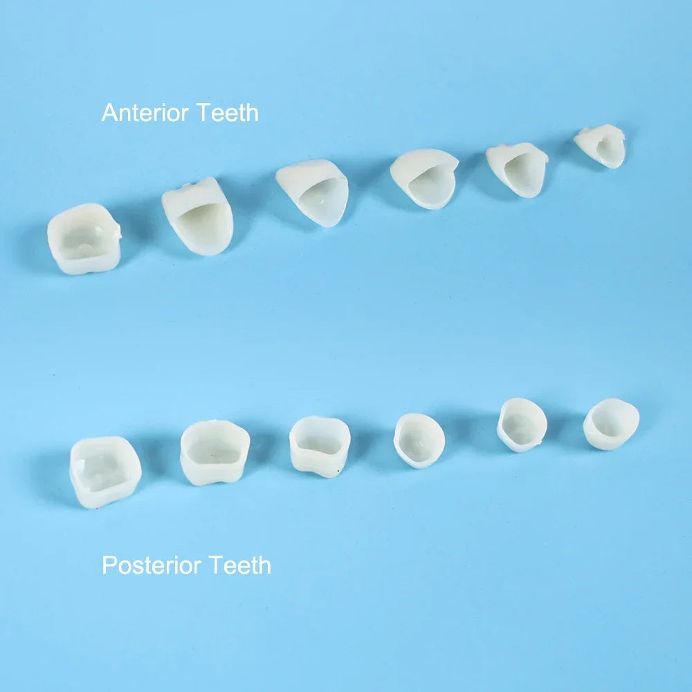 CYW101 Dental Crown - Denspay Dental - Dental Crown