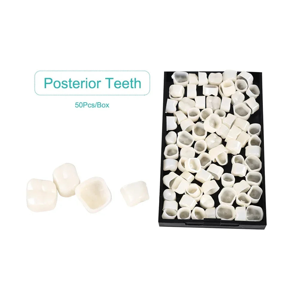 CYW101 Dental Crown - Denspay Dental - Dental Crown