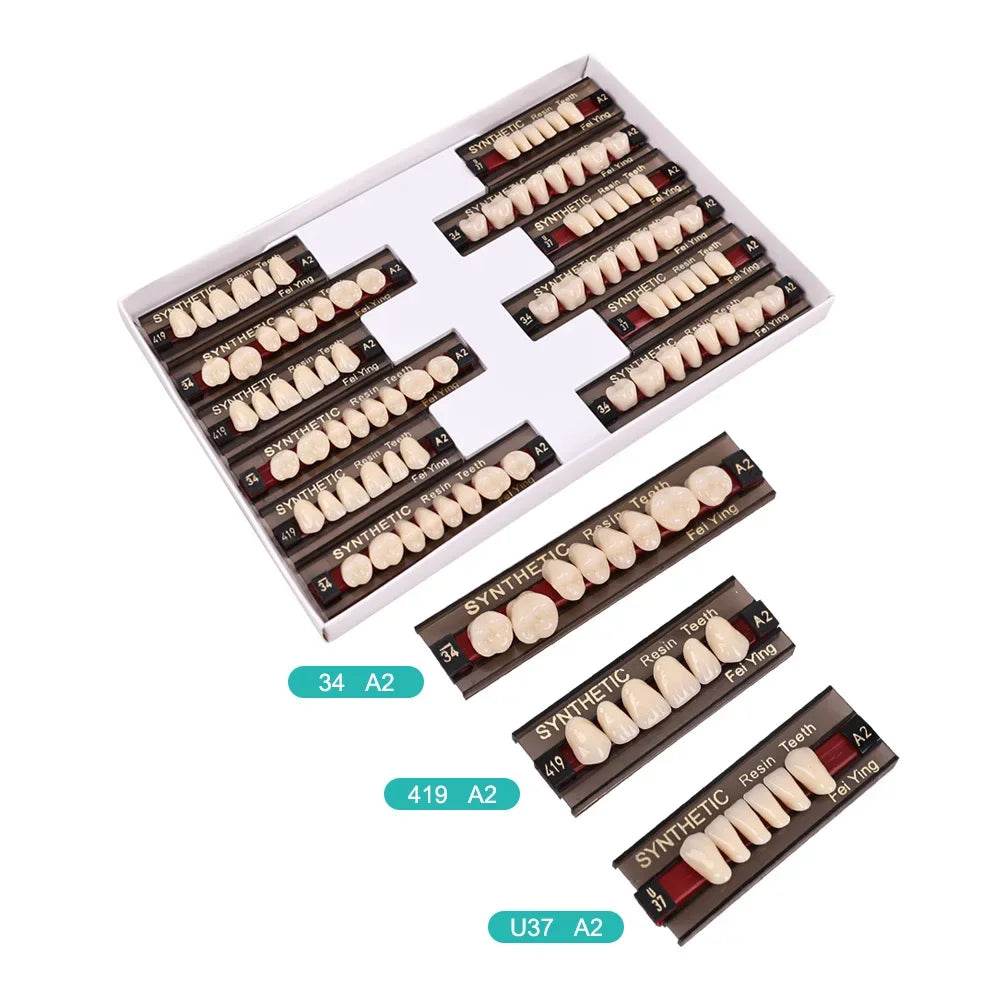 CYU127 Dental Synthetic Resin Teeth - Denspay Dental - Acrylic Teeth