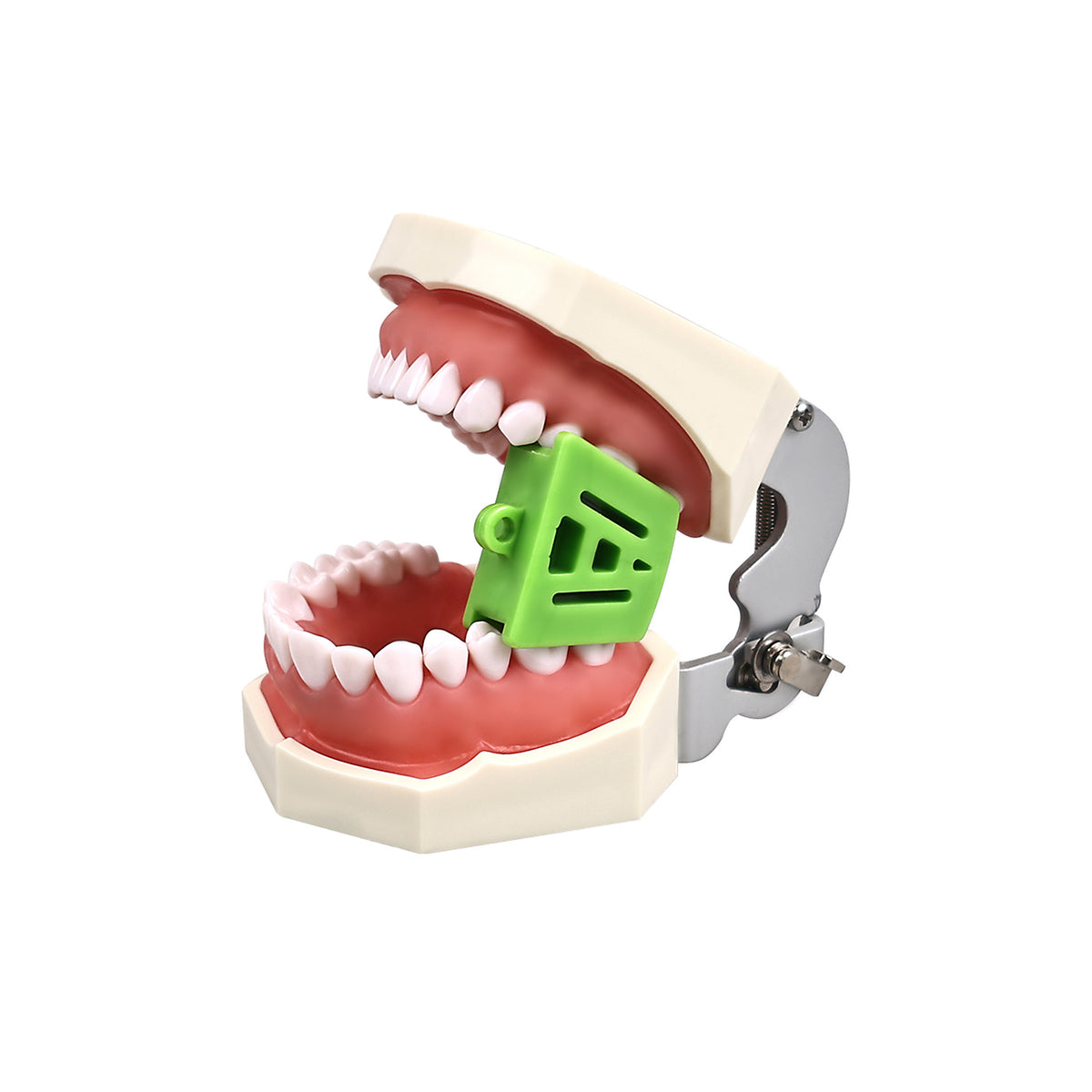 Side profile of occlusal bite prop