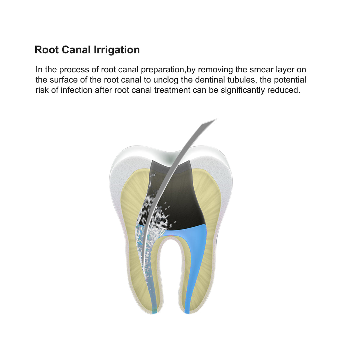 VRN‑A5 scaler clinical dental clinic operation scene