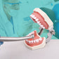 CYC221 Dental High/Low Speed Handpiece Kit 2/4 Hole