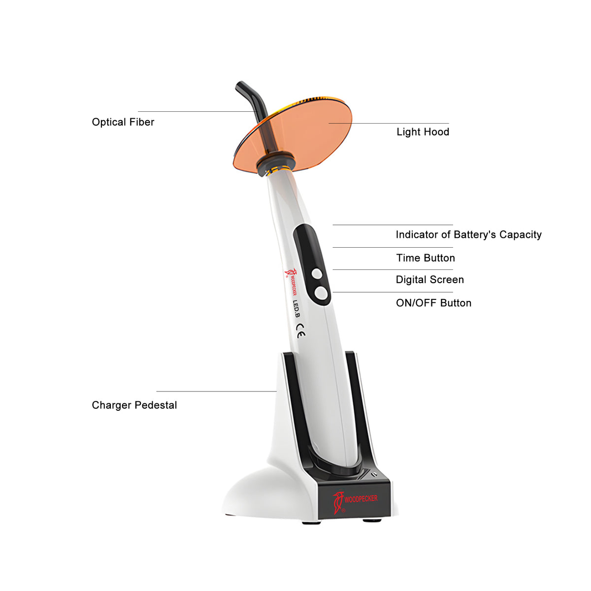 Complete accessory kit of wireless dental LED curing light with charging base and clinic accessories
