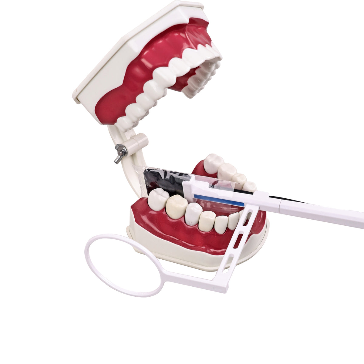 Intraoral placement of dental RVG sensor on patient