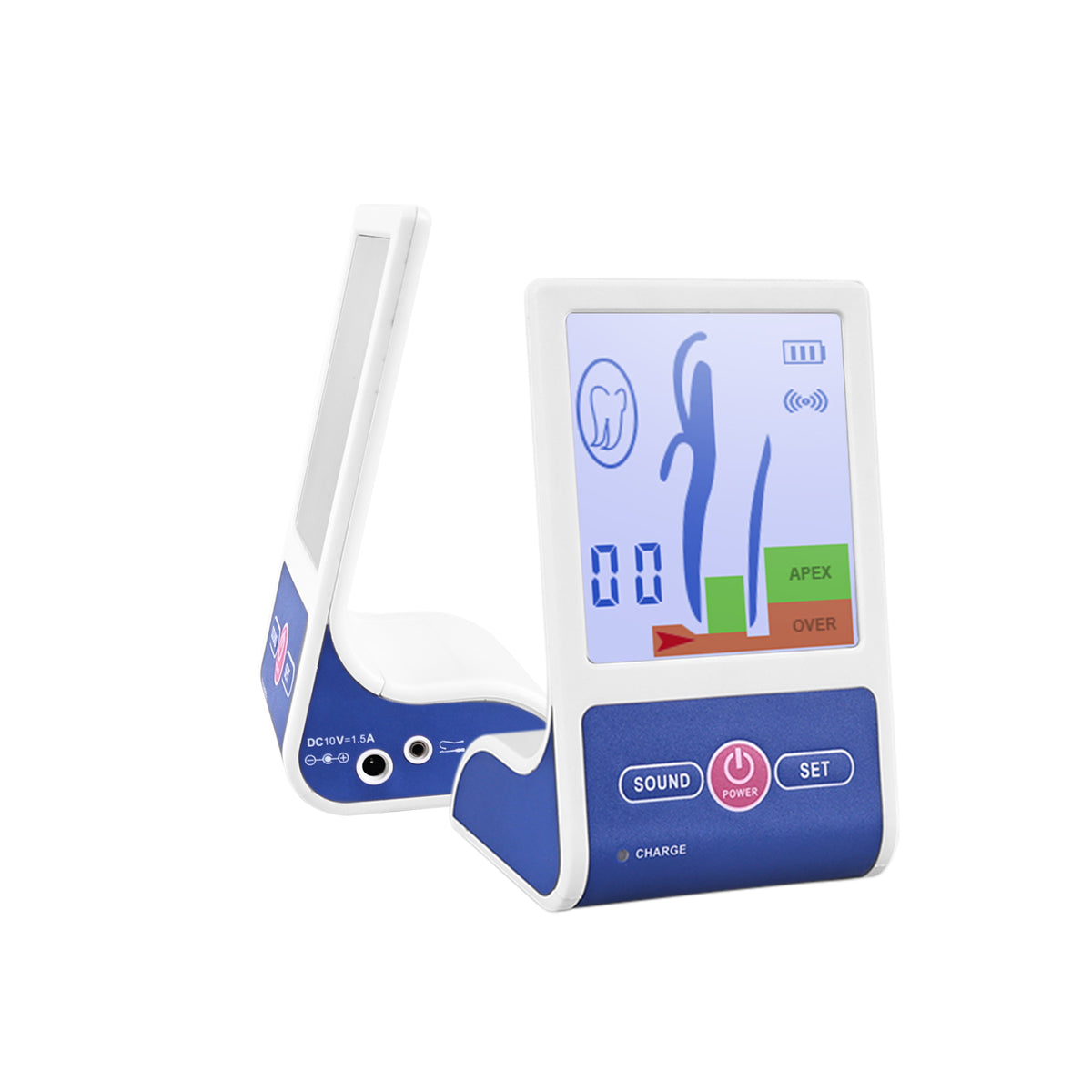 Apex locator color graphic LCD screen measurement interface close‑up