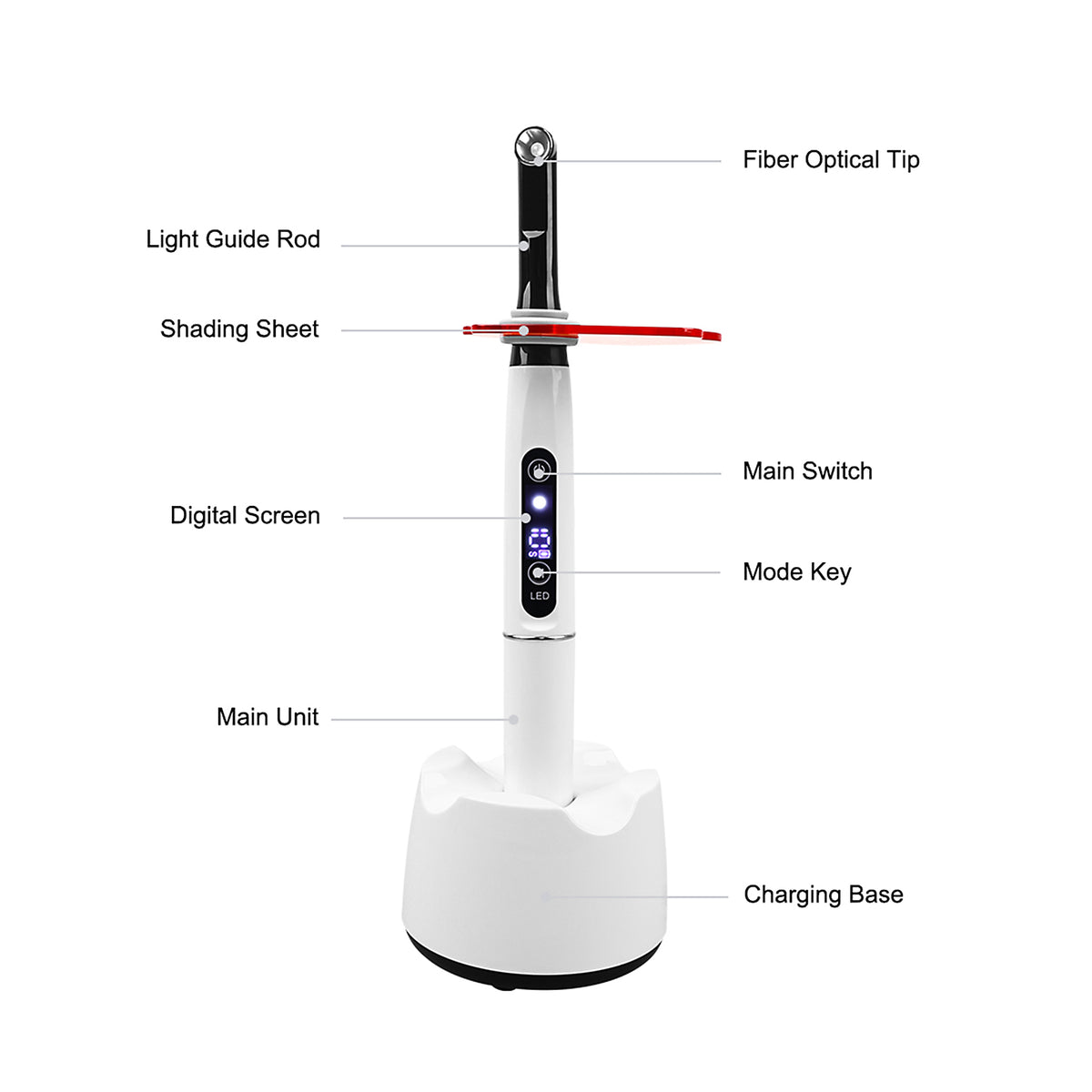 1s Colorful 5W dental LED curing light full kit with charger & accessories