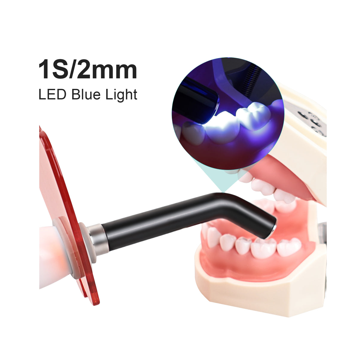1s fast‑cure curing light in dental operatory clinical usage scene