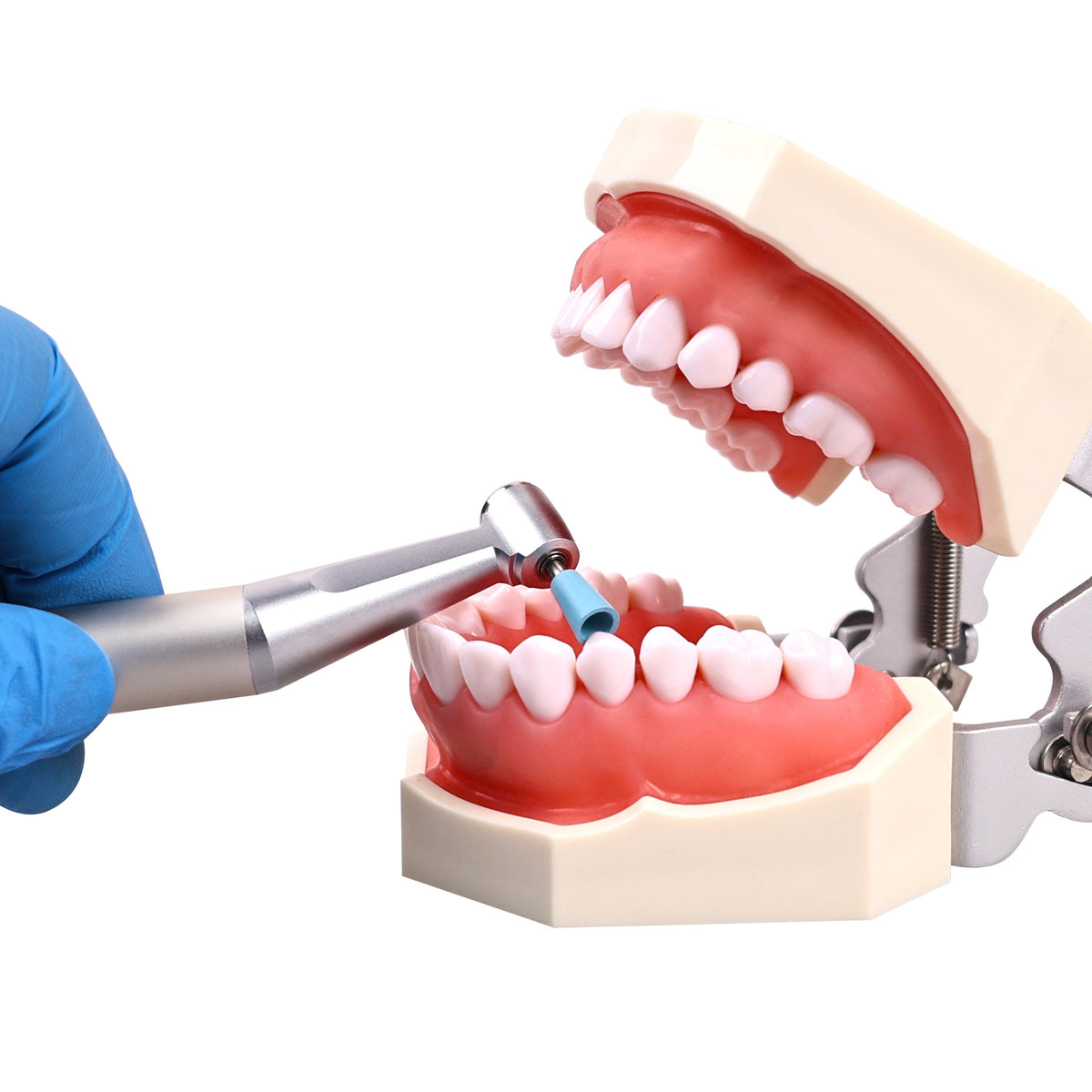 Polish curved tooth surface with GRA0603 dental kit