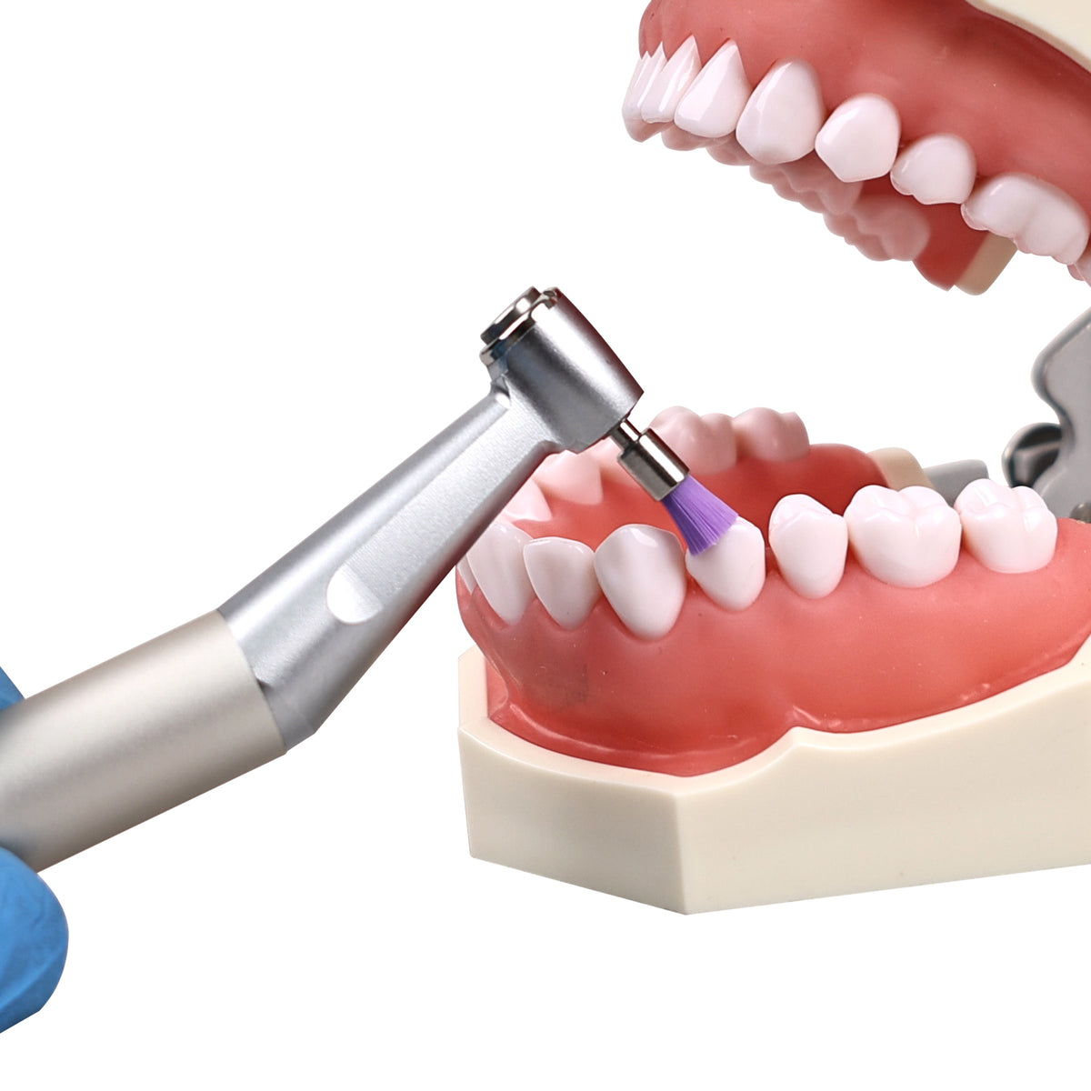 Dentist use RA nylon brush for chairside tooth polishing